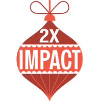2×