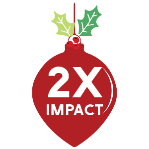 2×