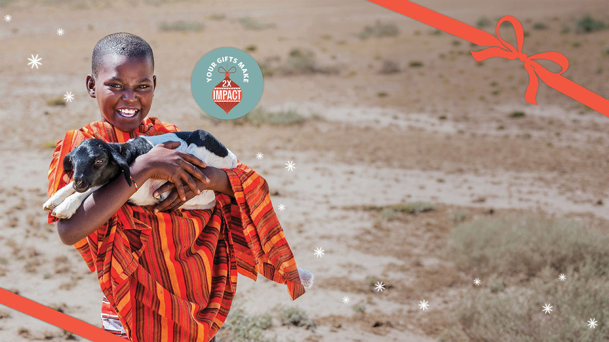 World Concern Global Gift Guide