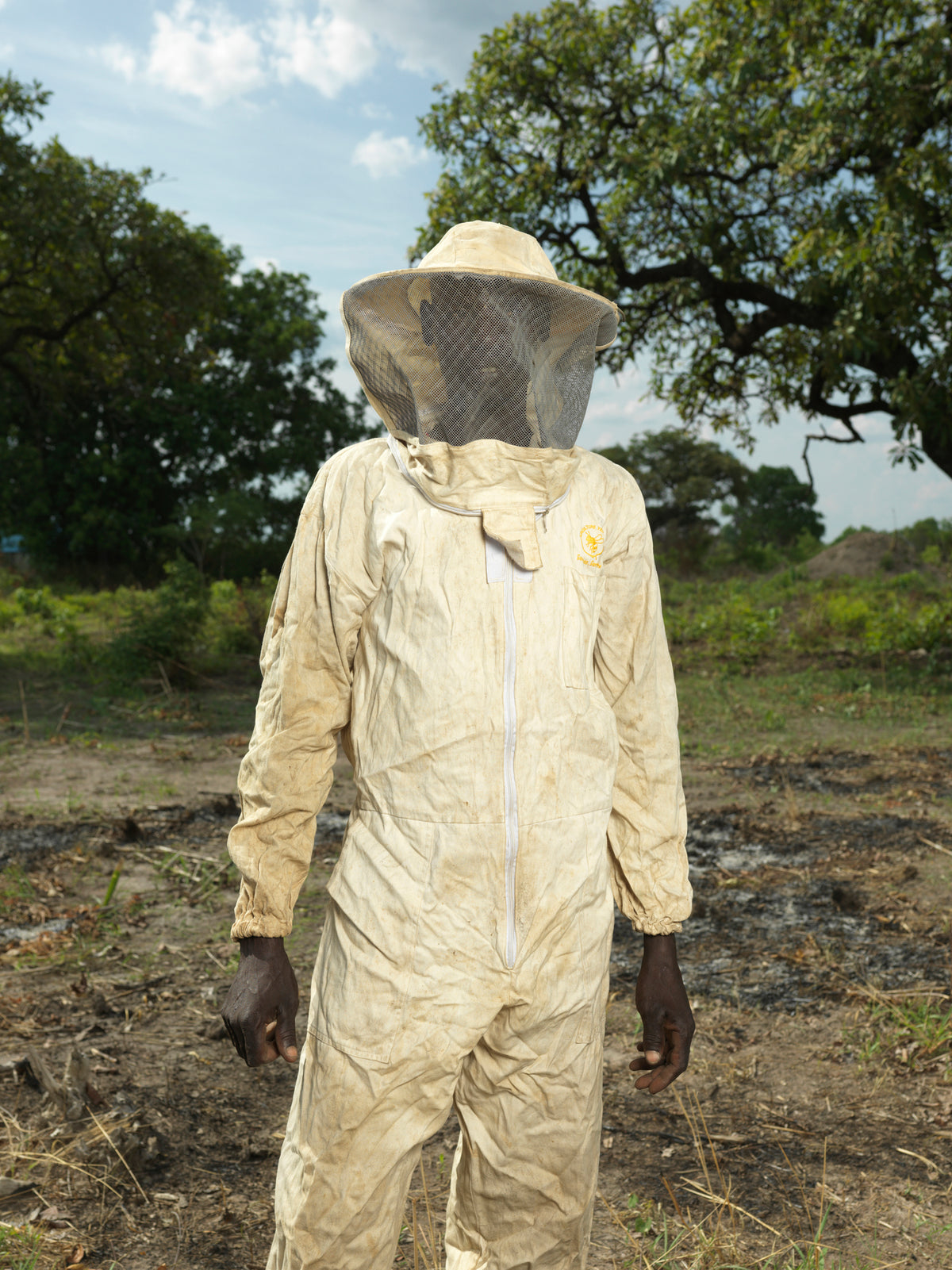 Honey Bees