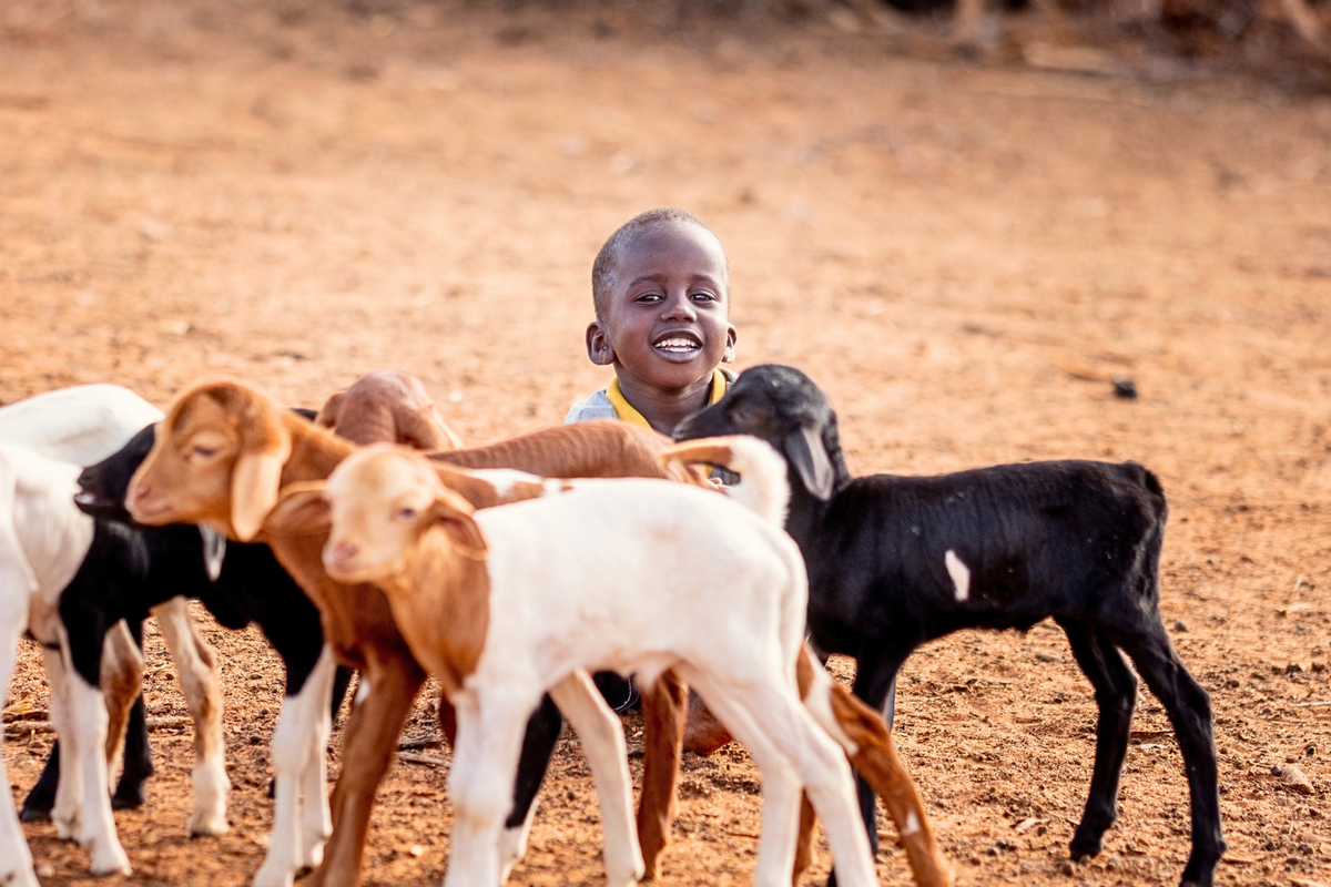 A smiling young boy standing among several small goats on dry, dusty brown ground in an outdoor setting.