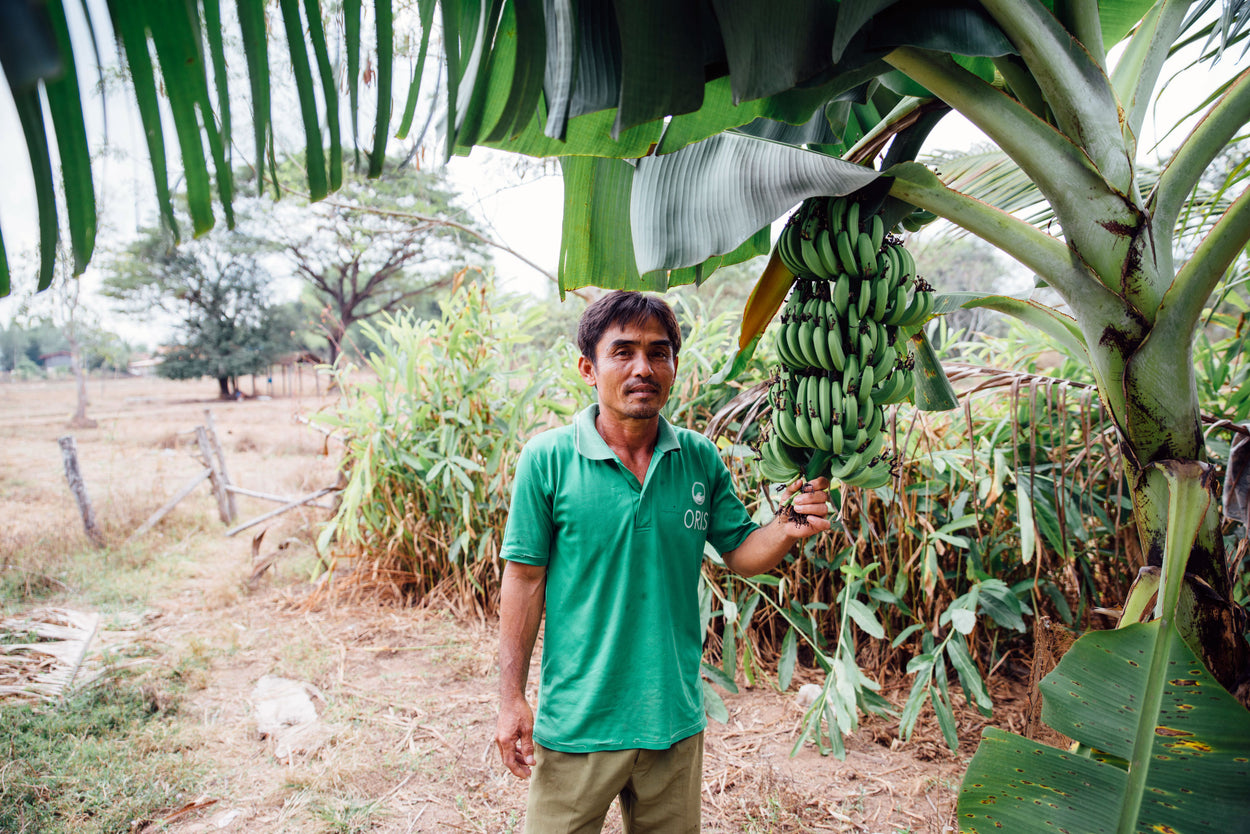A farmer shows off a cluster of bananas.