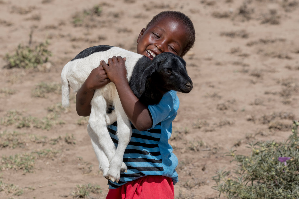 a smiling boy holding a young sheep
