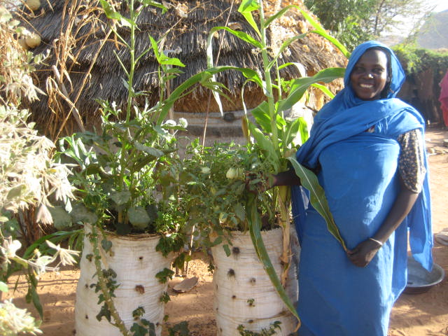 Sack Garden