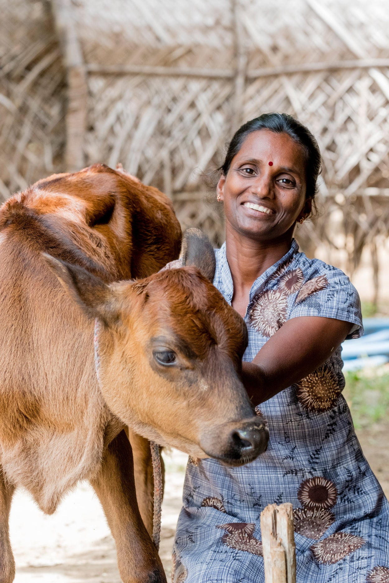 a woman sitting next to a cow