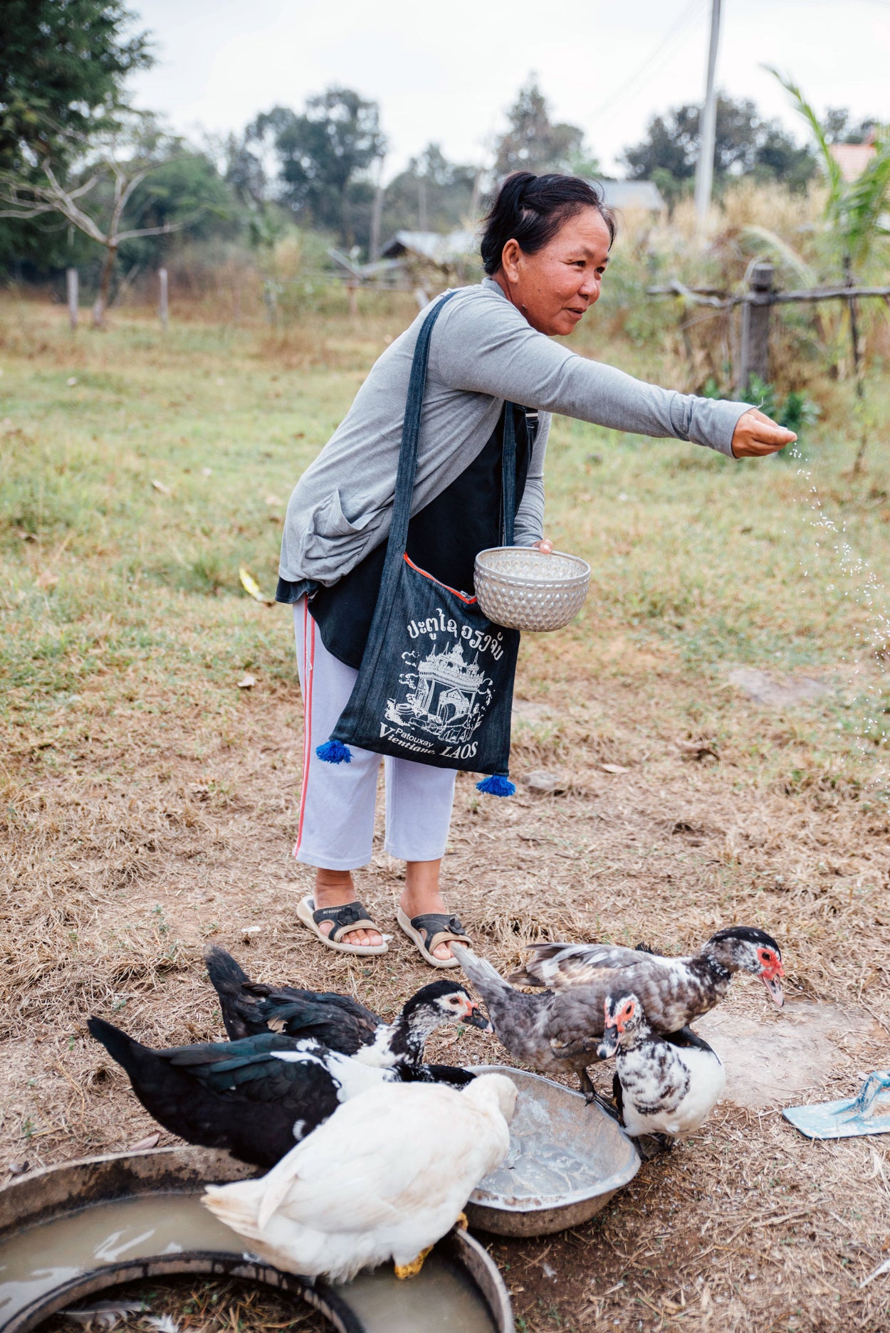 A woman feeds her ducks.