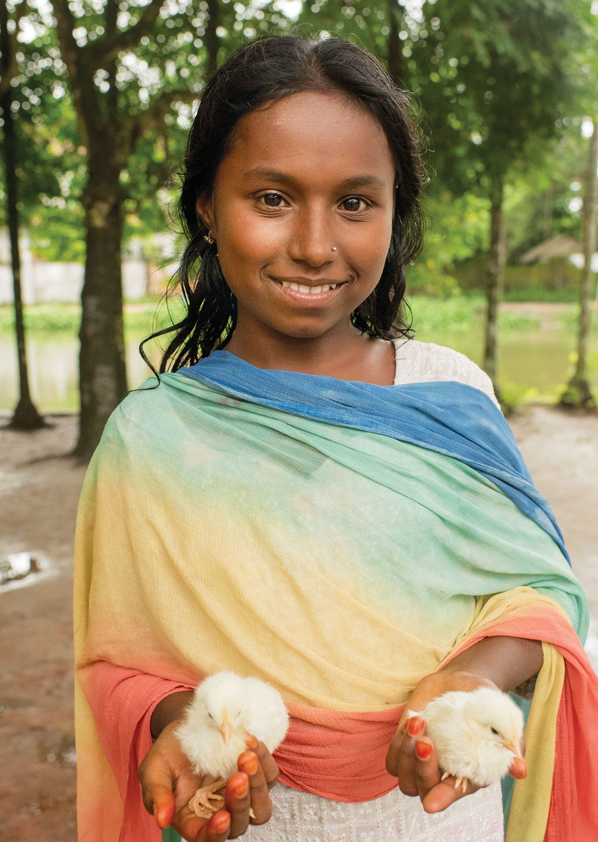 Chickens World Concern Global Gift Guide